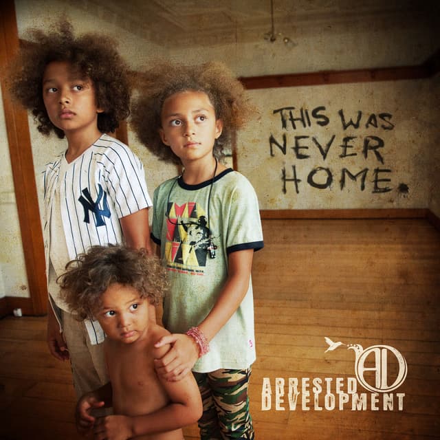 Album cover art for This Was Never Home