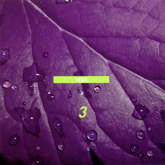 Album cover art for Wax 3 - Please