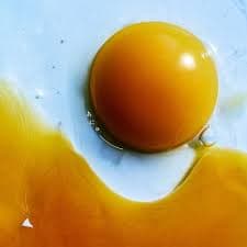 Album cover art for あにゅー