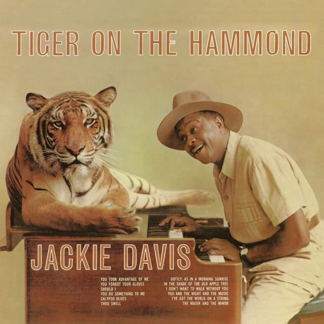 Album cover art for Tiger On The Hammond