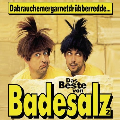 Album cover art for Dabrauchemergarnetdrübberredde - Das Beste von Badesalz 2