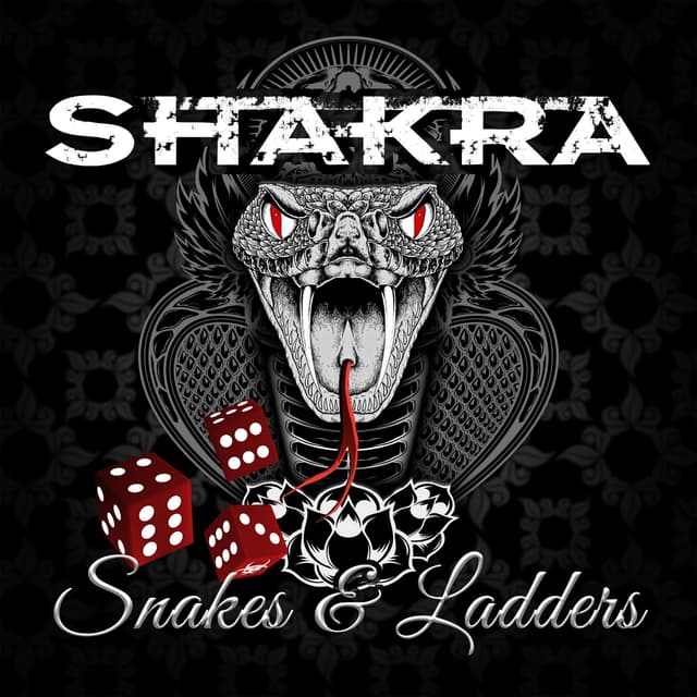 Album cover art for Snakes & Ladders