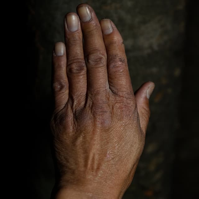 Album cover art for W