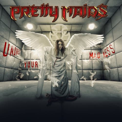 Album cover art for Undress Your Madness