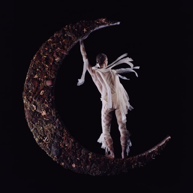 Album cover art for Believer