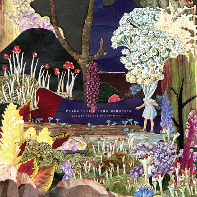 Album cover art for And Now for the Whatchamacallit