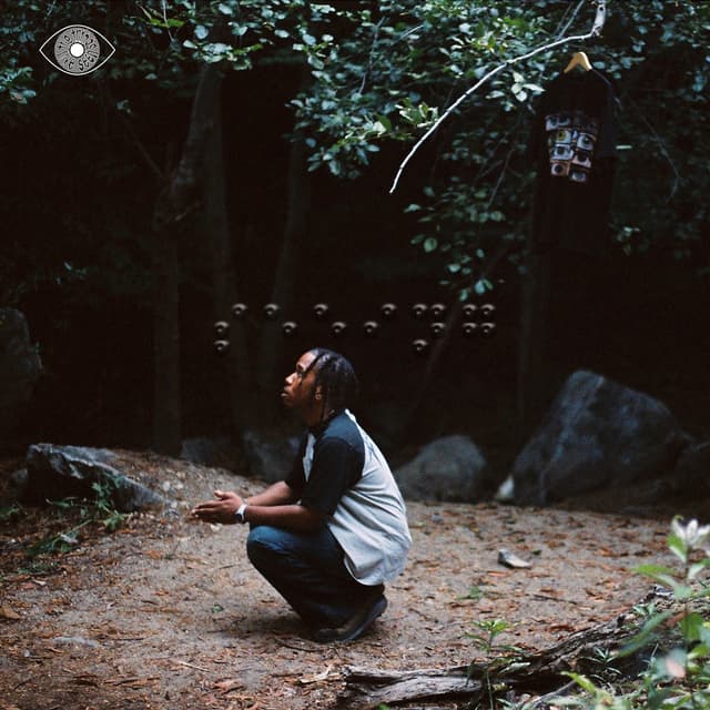 Album cover art for the things i've seen