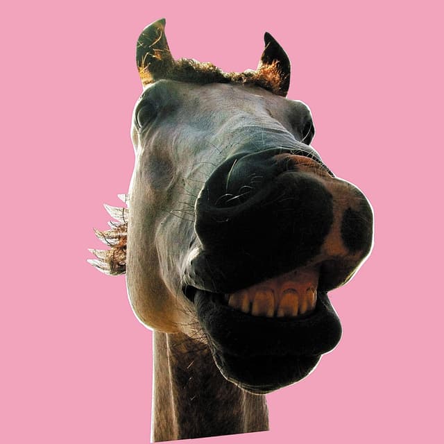 Album cover art for Do!! The★MUSTANG