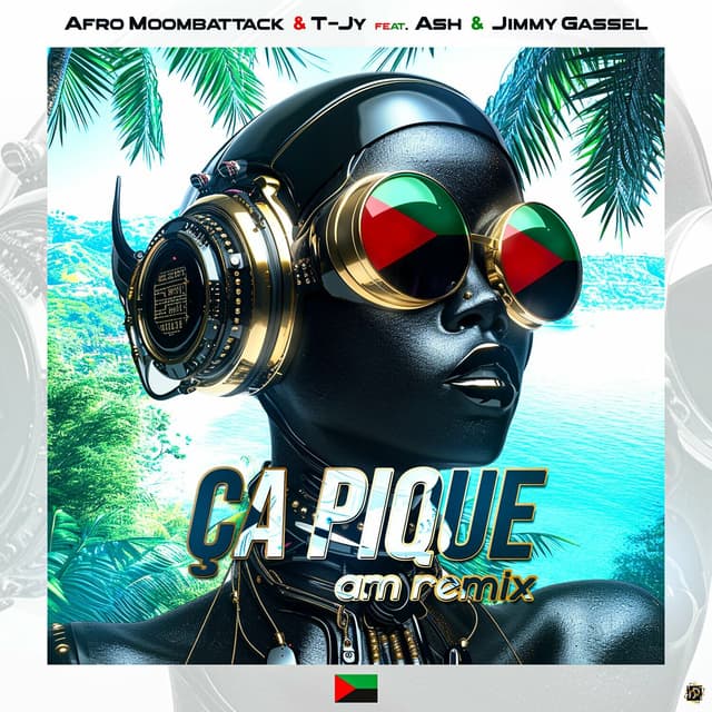 Album cover art for ça pique am remix
