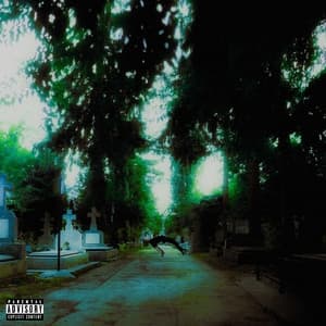 Album cover art for Înapoi La Viață