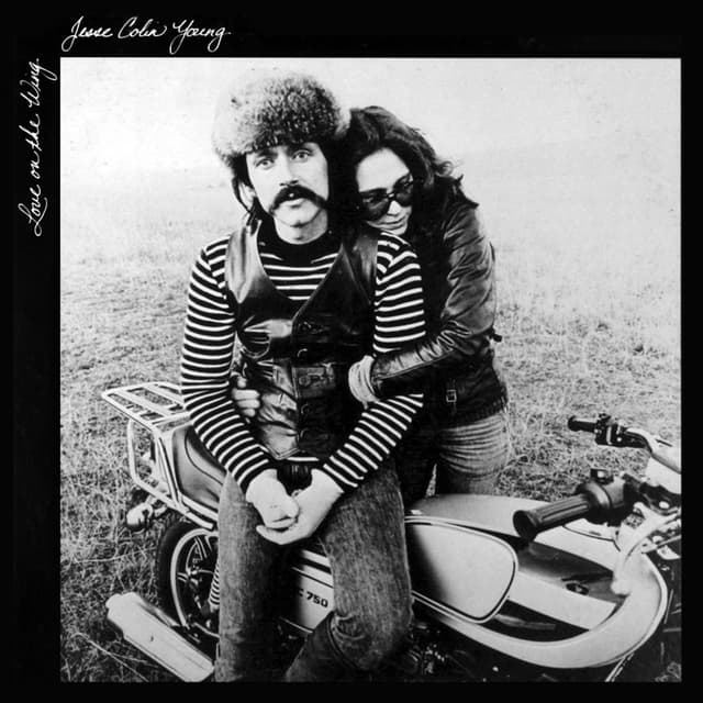 Album cover art for Love on the Wing