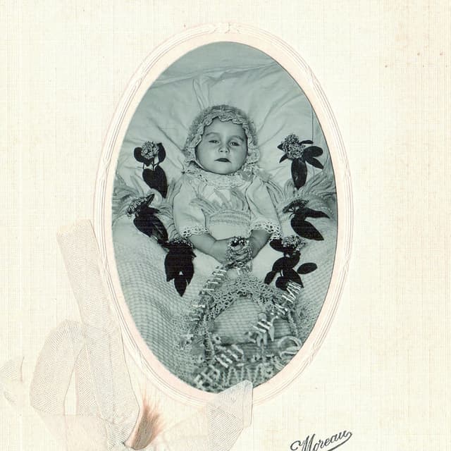 Album cover art for Flowers of Flesh and Blood