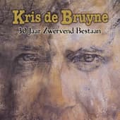 Album cover art for 30 Jaar Zwervend Bestaan