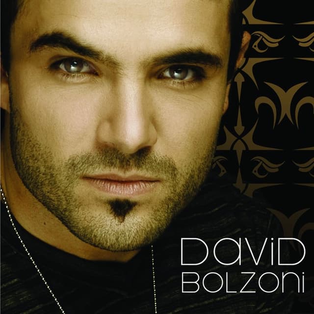 Album cover art for David Bolzoni