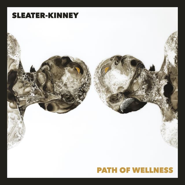 Album cover art for Path of Wellness