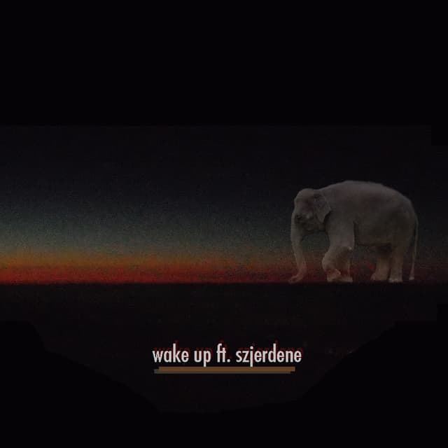 Album cover art for Wake Up