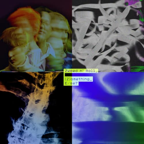 Album cover art for (Z)ometh!ng_E/se?