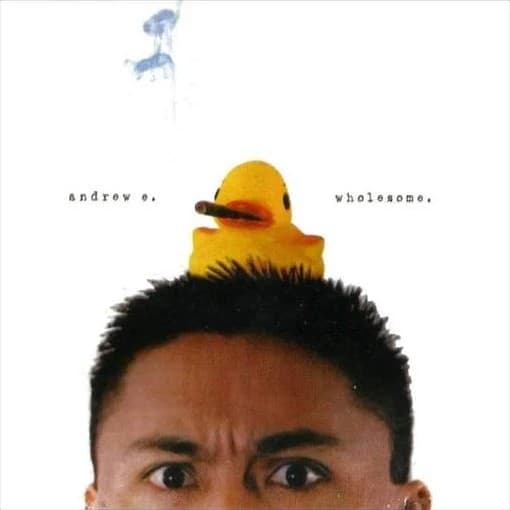 Album cover art for Wholesome