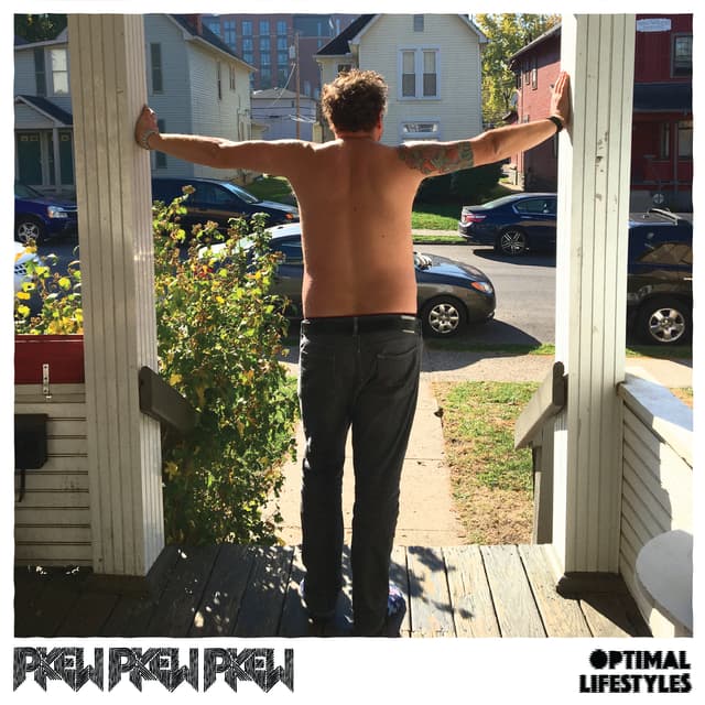 Album cover art for Optimal Lifestyles