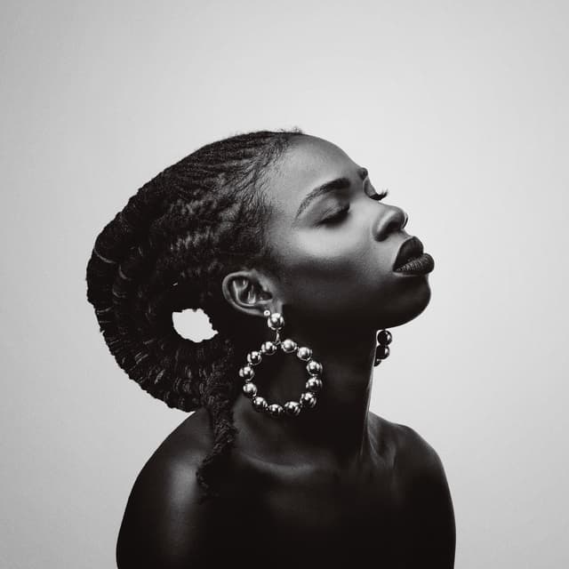 Album cover art for 13th Floor