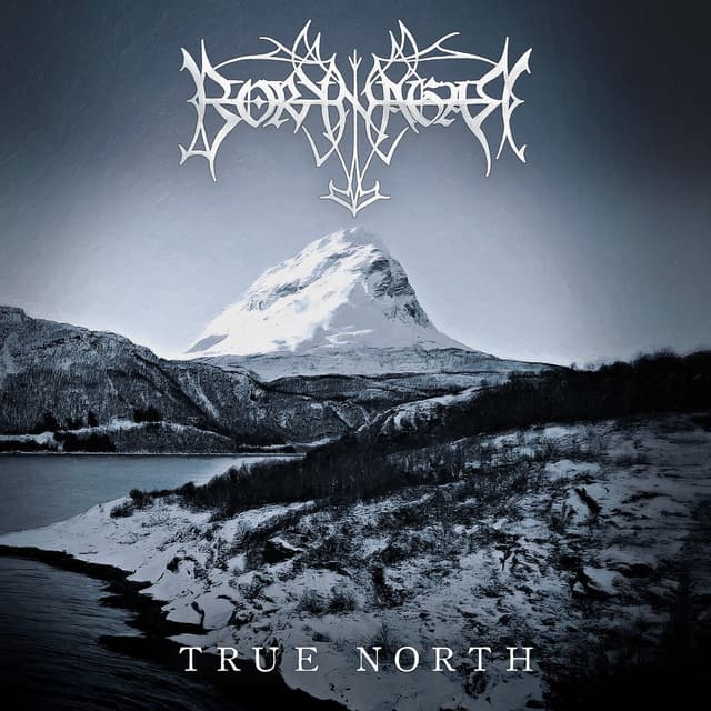 Album cover art for True North
