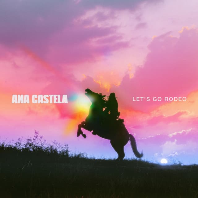 Album cover art for Let's Go Rodeo