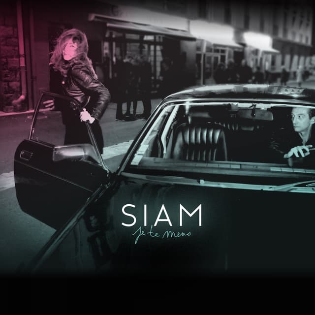 Album cover art for Je Te Mens