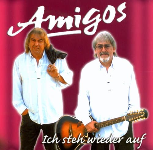Album cover art for Ich Steh Wieder Auf