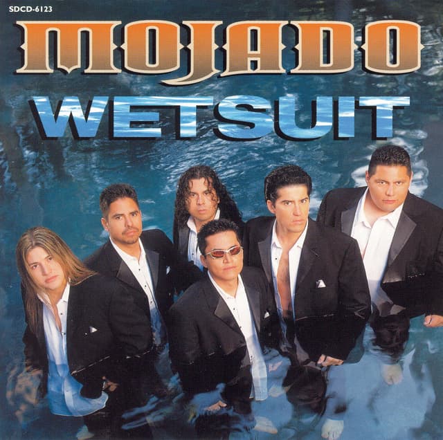 Album cover art for Wetsuit