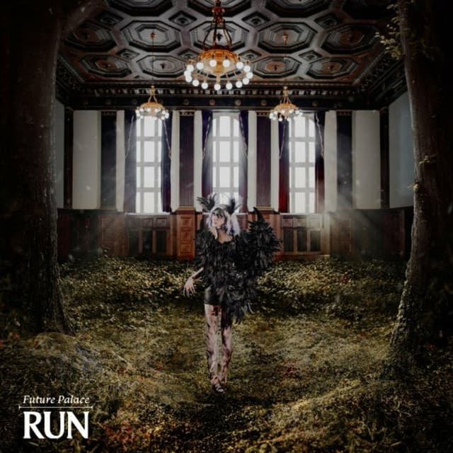 Album cover art for Run