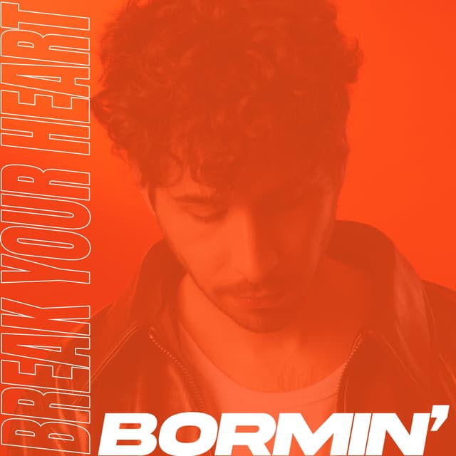 Album cover art for Break Your Heart