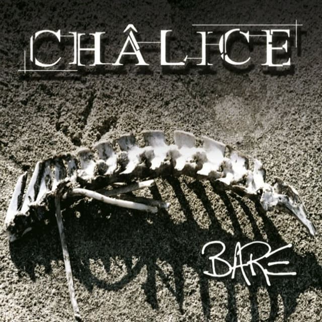 Album cover art for Bare