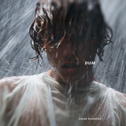 Album cover art for Dum