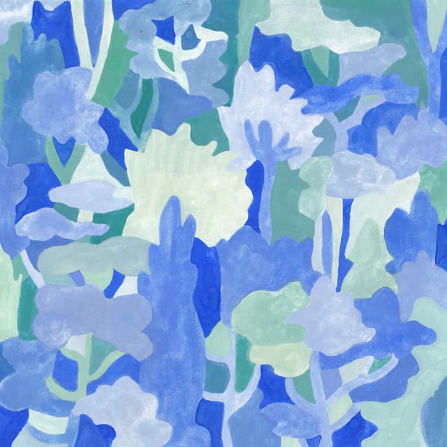 Album cover art for nader