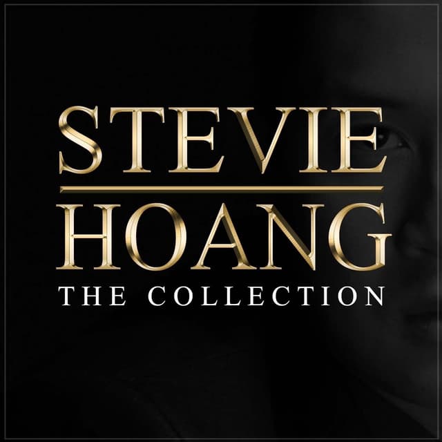 Album cover art for Stevie Hoang: The Collection