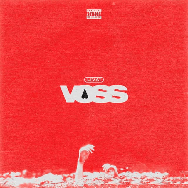 Album cover art for Voss
