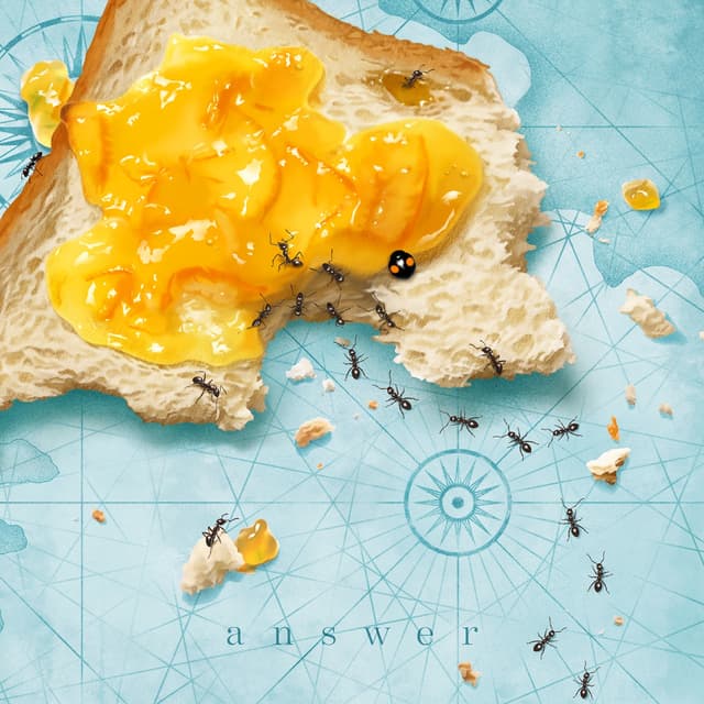 Album cover art for answer