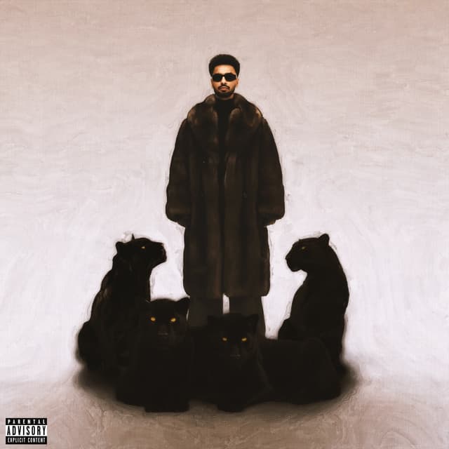 Album cover art for House Navior