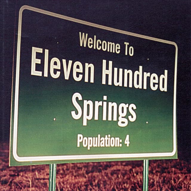 Album cover art for Welcome To Eleven Hundred Springs