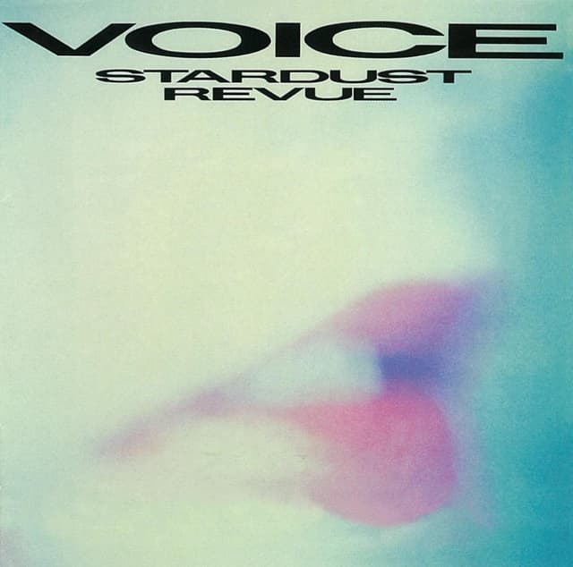 Album cover art for VOICE