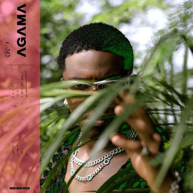 Album cover art for Agama