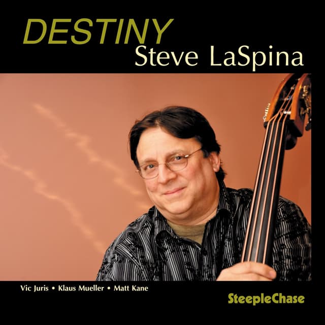 Album cover art for Destiny