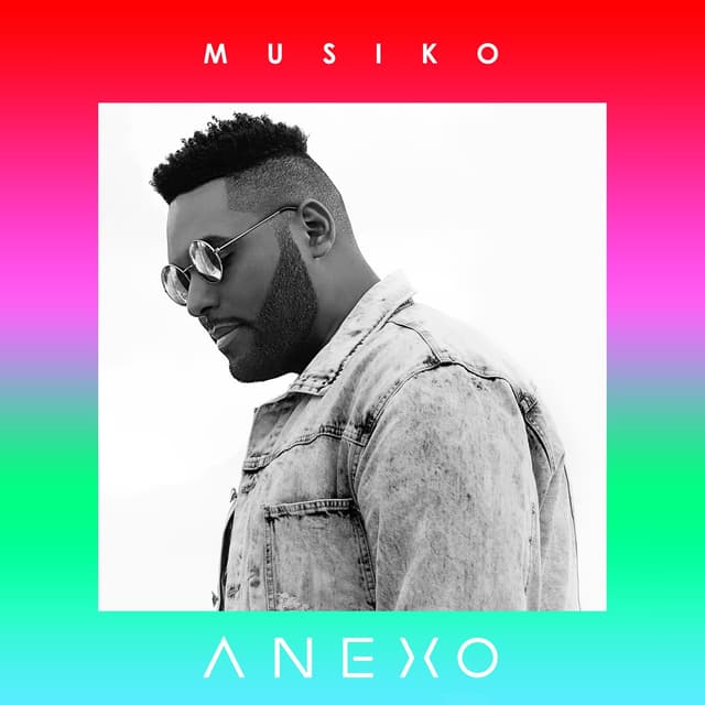 Album cover art for Anexo