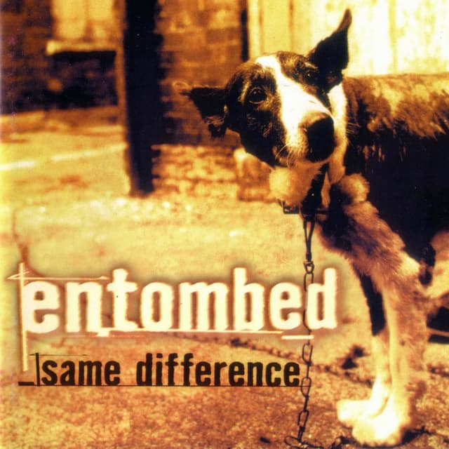 Album cover art for Same Difference