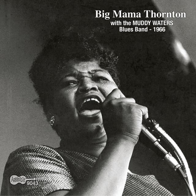 Album cover art for Big Mama Thornton and the Chicago Blues Band