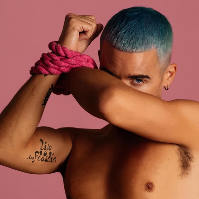 Album cover art for Life in Plastic