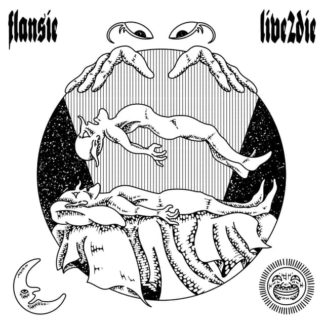 Album cover art for LIVE2DIE