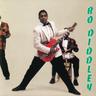 Diddley Daddy