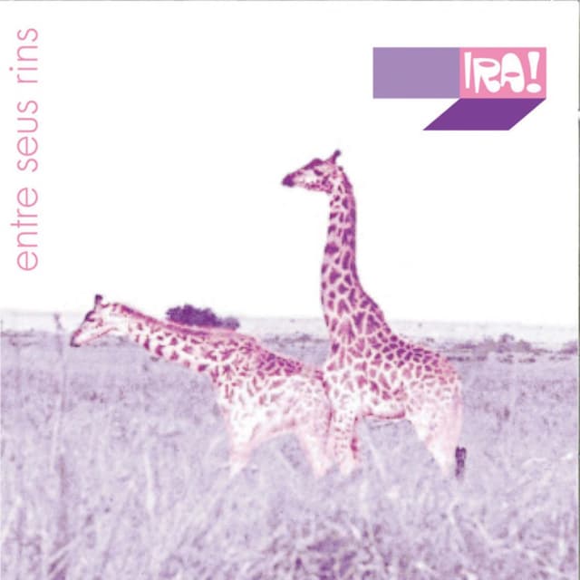 Album cover art for Entre Seus Rins