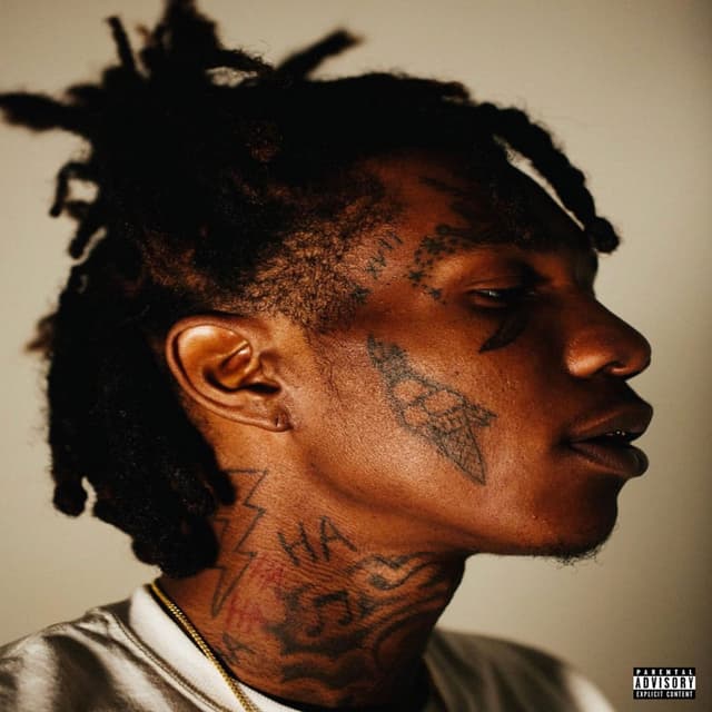 Album cover art for XVII